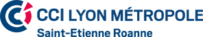 Logo CCI Lyon Métropole
